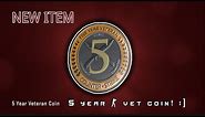 achieving 5 year veteran coin in CS:GO