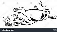 Black White Vector Outlines Rolling Horse Stock Vector (Royalty Free) 130638371 | Shutterstock