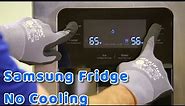 Samsung Refrigerator Isn’t Cooling: Test Mode | forced defrosting | Troubleshooting
