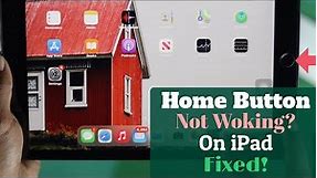 Fixed: Home Button Not Working on iPad!