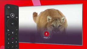 Virgin TV 360 remote features