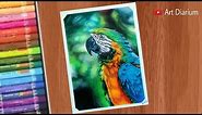 Art with Oil Pastels / Macaw Parrot Drawing tutorial for beginners - Step by step