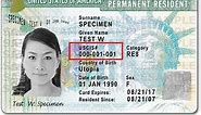 What is an Alien Registration Number and where do I find it?