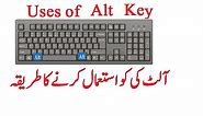 What is the use of the Alt key in Computer Science |English Subtitles| Lunar Computer College