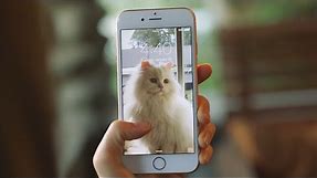 How Do Live Photos Work? (iPhone 6S / 6S Plus / SE)