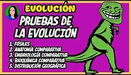 Pruebas científicas de la evolución | Evolución |