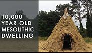 Recreating our past: 10,000 year old mesolithic dwelling replicated by experimental archaeologists