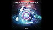 Spectro Senses, Kbyte - First Contact