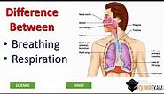 Difference Between Breathing and Respiration || Science || Hindi || Quikr Exam
