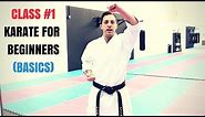 Martial Arts for Beginners – Lesson 1 / Basic Karate Cobra Kai Techniques