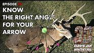 KNOW THE RIGHT ANGLE FOR YOUR ARROW- Proper Placement Explained - 30 D.O.W. EP 15