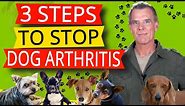 Dogs Arthritis Pain Relief (3 Natural Steps to Treatment)