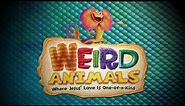 Weird Animals - 2014 VBS from Group Publishing