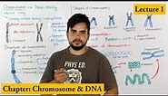 Chromosome Structure, Shape, composition and organization | Lecture 1