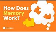 How Does Memory Work? From A Neuroscience Researcher