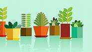 How Do Plants Reproduce?