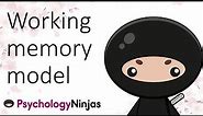 Working Memory Model