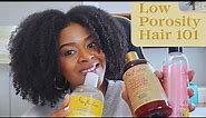 Best Products for Low Porosity Hair & Ingredients to Avoid