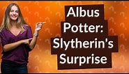 Why Albus Potter is Slytherin?