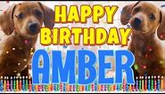 Happy Birthday Amber! ( Funny Talking Dogs ) What Is Free On My Birthday