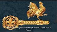 Le Coq Gaulois un emblème Français