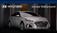 Walkaround | 2018 Sonata | Hyundai