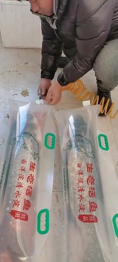 Amazing Fish Packing Machine | Satisfying Factory Process Video