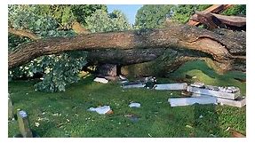 Fallen 100-year-old maple tree damages several headstones in Jessamine Co. cemetery