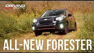 2019 Subaru Forester Sport Review