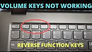 Volume Button Not Working - Reverse Function Keys and Multimedia Keys (F1-F12)