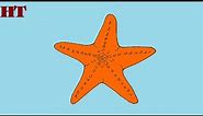 How to draw a starfish step by step | Fish drawing