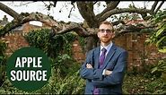 Britain's original Bramley apple tree could be saved by university