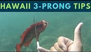 MUST KNOW Hawaii Spearfishing Tips for "3-Prong" Polespear(Beginner Friendly)