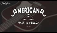 Art & Lutherie Americana Guitar