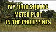 My 1000 Square Meter Plot In The Philippines.