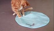 SmartyKat Hot Pursuit Electronic Concealed Motion Cat Toy, Battery Powered - Blue, One Size