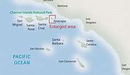 Channel Islands Live Ocean Webcam - Channel Islands National Park (U.S. National Park Service)