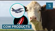Did You Know These Products Are Made From Cows?