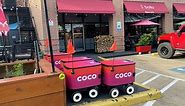 My quest to follow Coco, the food delivery robot braving Houston's streets