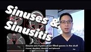 Sinuses, Sinusitis, Sinus Surgery Overview - what are sinuses, what do they do, how do we treat them