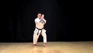 Chinto Kata of Isshinryu-Ryu Karate Michael Calandra