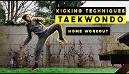 TUTORIAL : Taekwondo Kicking Techniques