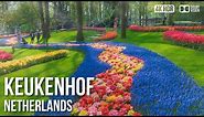 Keukenhof, Tulip Gardens - 🇳🇱 Netherlands [4K HDR] Walking Tour