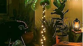 5FT 148 LEDs Lighted Palm Trees, Artificial Palm Tree with Coconuts, Light Up Tropical Palm Trees for St. Patrick's Day, Indoor, Outdoor, Hawaiian, Jungle, Luau Party, Pool, Beach, Patio Decor
