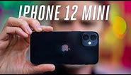 iPhone 12 mini review: the favorite