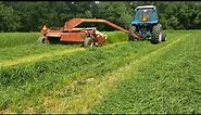 Ford 7700 and newholland 499 mowing teff grass