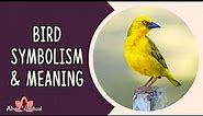 Bird Symbolism and Meaning: Spiritual Meaning of Birds