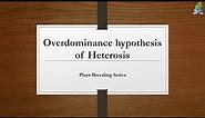 Overdominance Hypothesis of Heterosis