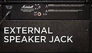 Adding External Speaker Jacks to Any Amp
