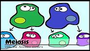 (OLD VIDEO) Meiosis: The Great Divide